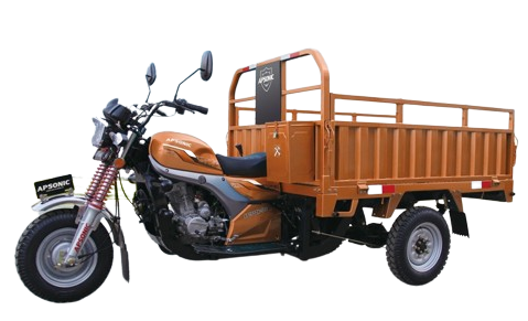 AP175ZH Tricycle